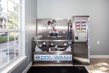Paw spa with dog washing station